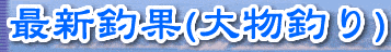 �ŐV�މ�