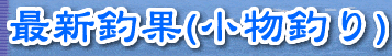 �ŐV�މ�