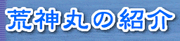 �D�̏Љ�