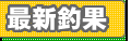 �삠�킶�ێR�C�ނ�����̍ŐV�މ�
