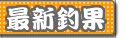 �R���ۂ̍ŐV�މ�