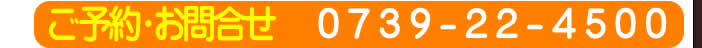 \E⍇@0739-22-4500