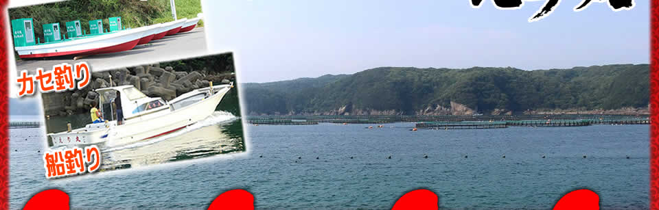 和歌山 串本 須江白野 えり丸 | 船釣り・カセ釣り