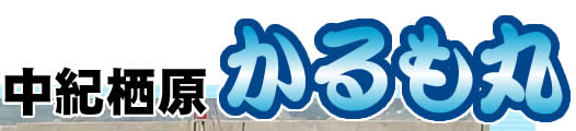 a̎R I@ނD 