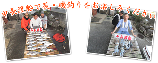 �����n�D�Ŕ��E��ނ�����y���݂�������