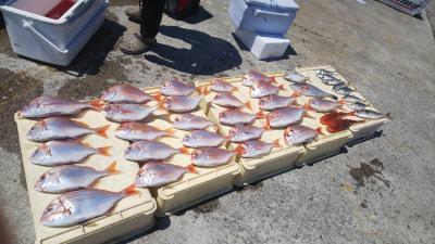 いい釣船 Com 詳細釣果 千代丸 09 01 山村 様 やりました 高級魚 アマダイゲットに 大喜び 岡野 様 タイの入れ食いにビックリ 大喜びで楽しんでくれました 金田 様 マトウダイの良型ゲット 木谷 様 カイワレの良型ゲット 岡野 様 チダイ