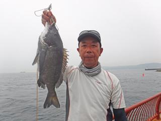 平磯海づり公園 釣果アルバム