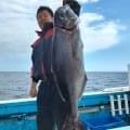 画像をクリックすると詳細な釣果情報がご覧になれます 兵庫柴山の釣船 第三豊洋丸 豊洋丸 最新釣果 釣船紹介 豊洋丸 地図料金 豊洋丸 年間大物賞 アコウ 釣果情報 第三豊洋丸 釣船 21 11 30 Pm01 00 ヒラマサ ヒラメ マダイ 65 cm 4匹