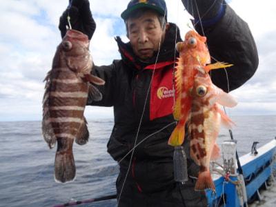 兵庫 柴山港 第三豊洋丸 釣果アルバム 兵庫 柴山港 第三豊洋丸 釣果アルバム