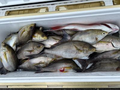 釣り大好き！ | 最新釣果情報(詳細)