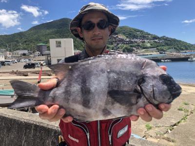 由良大引 上野渡船 釣果アルバム