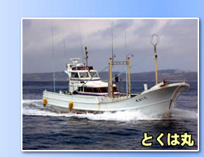 和歌山の釣り船　とくは丸